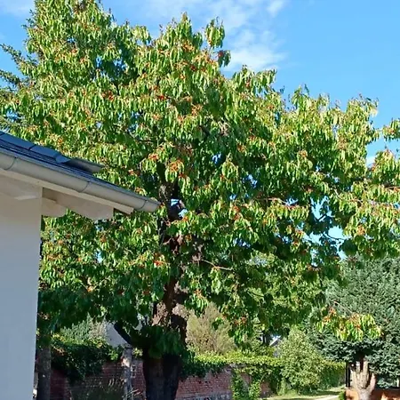 Foret De La Spree - Spreewald * Werben